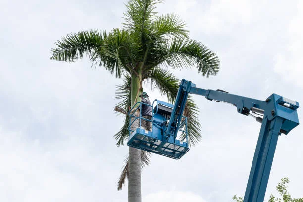 Maintenance and Trimming as Scheduled 1