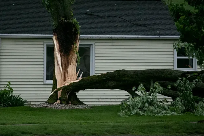 storm-damage-tree-NJ