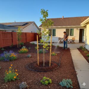 tree planting bell